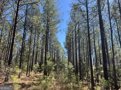 Tract B1 Hulmes Chapel Road, Elberton, GA 30635