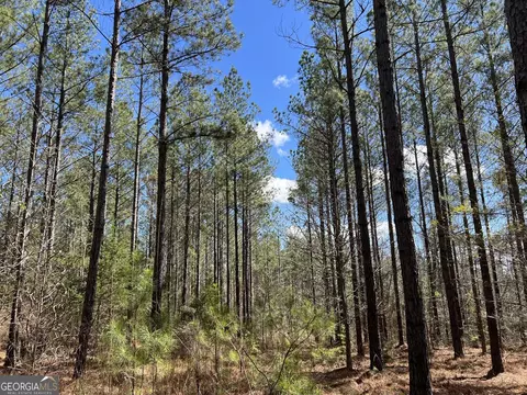 Undisclosed, Elberton, GA 30635 photo 16