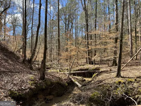 Undisclosed, Elberton, GA 30635 photo 10