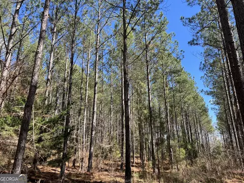 Undisclosed, Elberton, GA 30635 photo 8