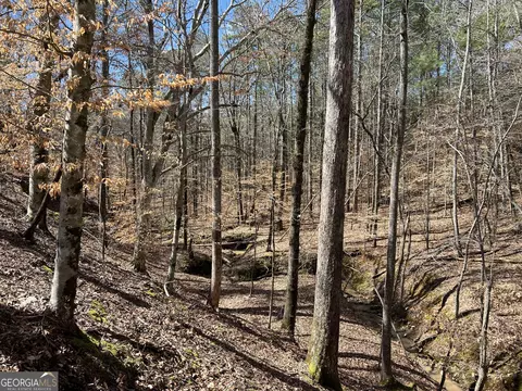 Undisclosed, Elberton, GA 30635 photo 9