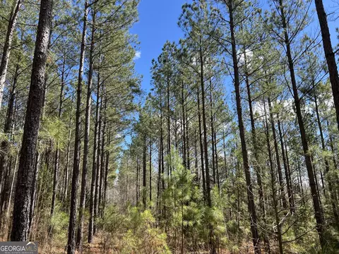 Undisclosed, Elberton, GA 30635 photo 3