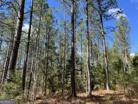 Undisclosed, Elberton, GA 30635 photo 21