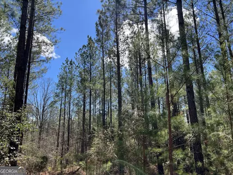 Undisclosed, Elberton, GA 30635 photo 13