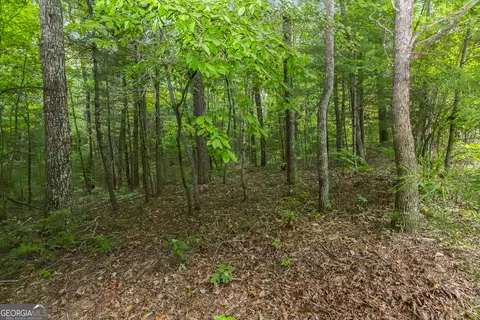 5 Abbott Mill Rd # -6, Ellijay, GA 30540