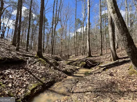 Tract B3 Hulmes Chapel Road, Elberton, GA 30635