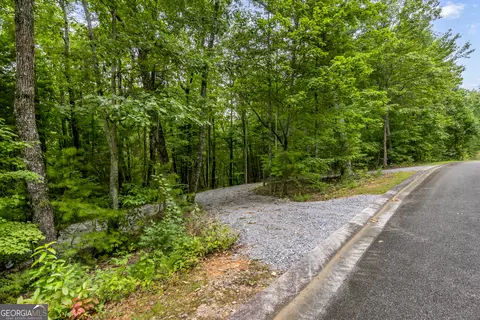 9-10 Abbott Mill Rd, Ellijay, GA 30540