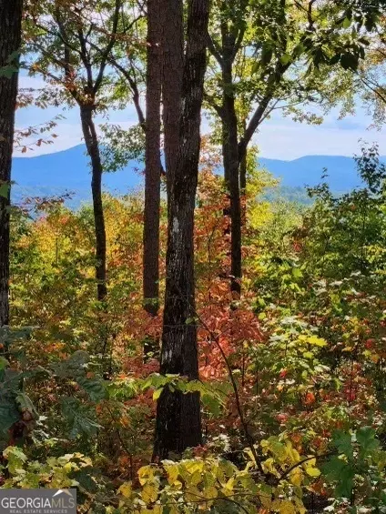 lot16 Abbott Mill Rd, Ellijay, GA 30540