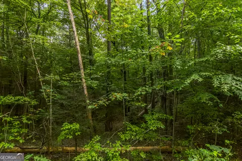 lot45 Abbott Mill Rd, Ellijay, GA 30540