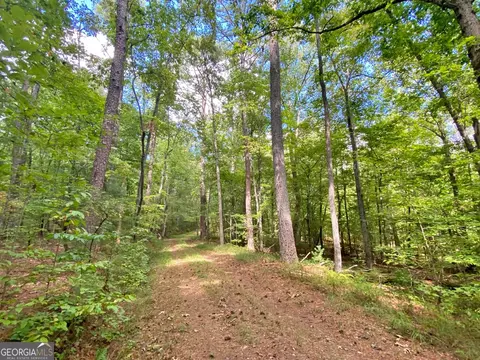 152 Ac Whitepath Rd, Ellijay, GA 30540