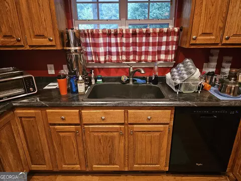 325 Panacea Ct, Demorest, GA 30535 photo 12