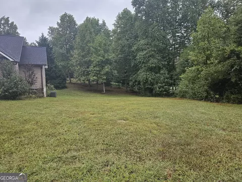 325 Panacea Ct, Demorest, GA 30535 photo 4