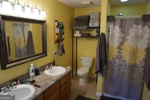 325 Panacea Ct, Demorest, GA 30535 photo 17