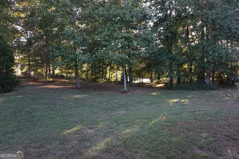 325 Panacea Ct, Demorest, GA 30535 photo 27