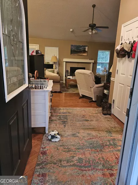 325 Panacea Ct, Demorest, GA 30535 photo 5