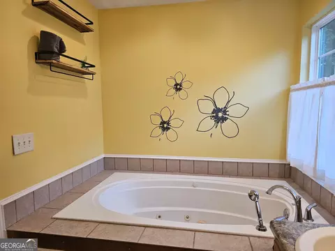 325 Panacea Ct, Demorest, GA 30535 photo 18