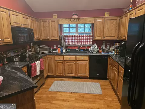 325 Panacea Ct, Demorest, GA 30535 photo 11