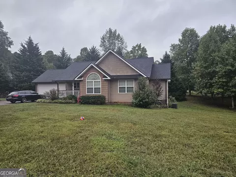 325 Panacea Ct, Demorest, GA 30535 photo 3