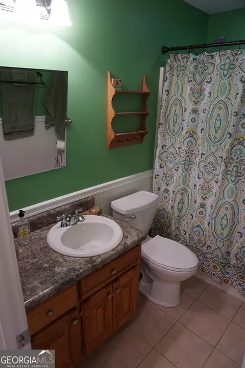 325 Panacea Ct, Demorest, GA 30535 photo 23