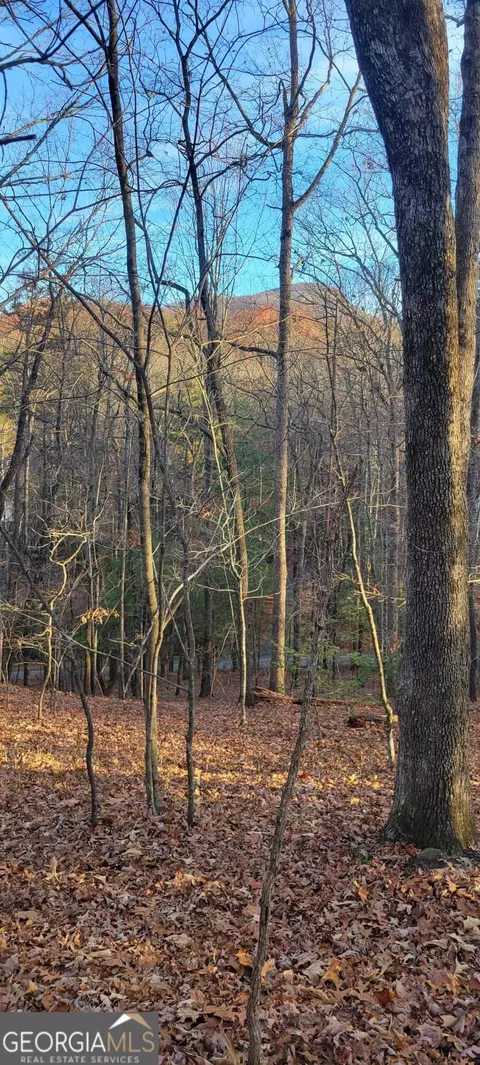 0 Joe Black Rd, Sautee Nacoochee, GA 30571