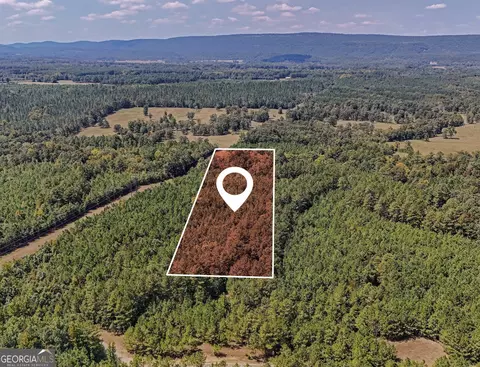 0 County Road 235 #TRACT 2, Leesburg, AL 35983