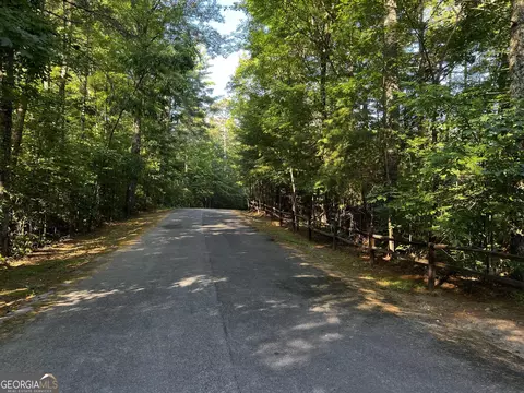 lot17 Crockett Laurel Creek Trl, Cherry Log, GA 30522