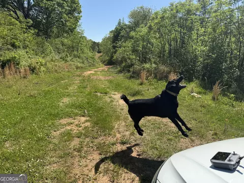 0 Us 53 Hwy, Bogart, GA 30622