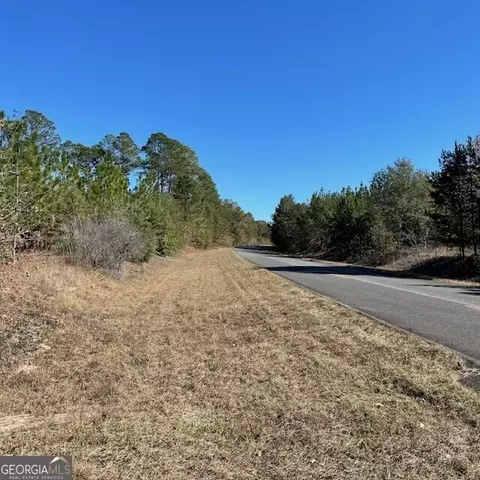40 Acres Pineville Rd, Buena Vista, GA 31803