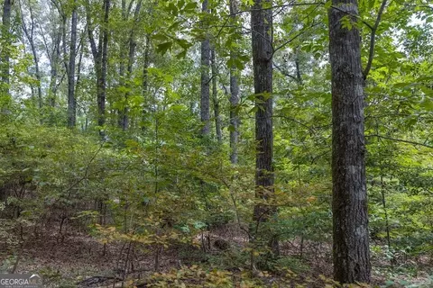 50 Acres Pineville Rd, Buena Vista, GA 31803