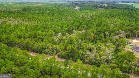 2007 Shawnee Egypt Rd, Guyton, GA 31312 photo 6