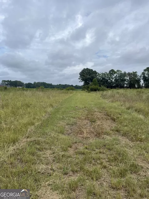 0 Campground Rd, Claxton, GA 30417 photo 6