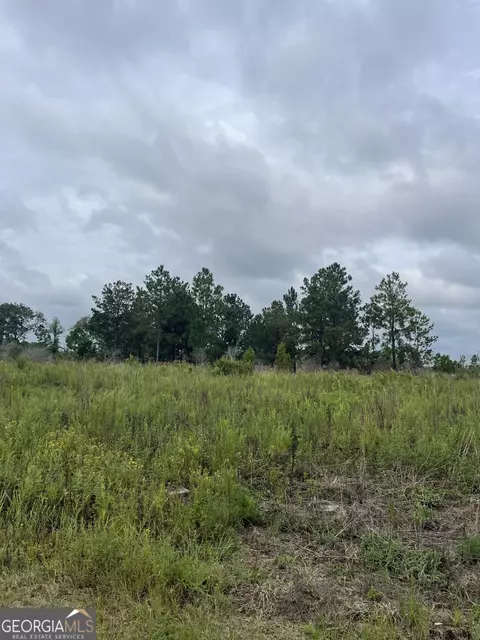 0 Campground Rd, Claxton, GA 30417 photo 5