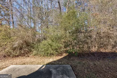 10643 Starling Trl, Hampton, GA 30228 photo 30