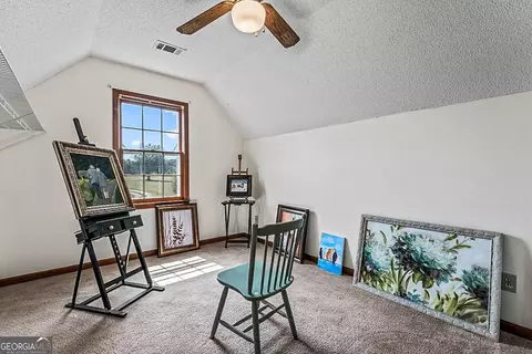 Other - 14247 Woolsey Rd, Hampton, GA 30228 photo 21 of 23