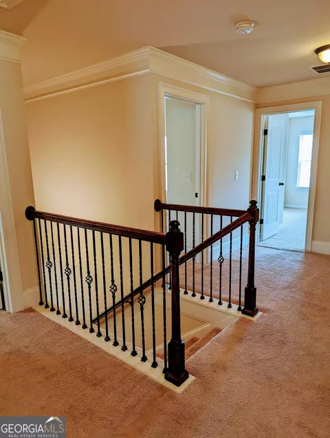 175 Covington Ter, Newnan, GA 30263 photo 21