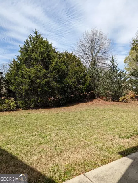 175 Covington Ter, Newnan, GA 30263 photo 27