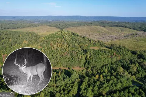41 53 Acres On Mosley Springs Rd, Lyerly, GA 30730