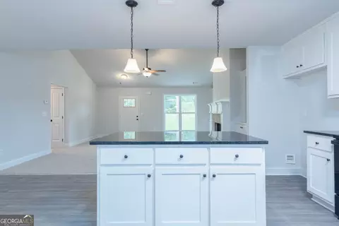3293 Tommy Dillard Rd, Monroe, GA 30656 photo 10
