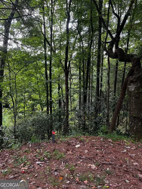 0 W Sugarbush Dr, Sky Valley, GA 30537