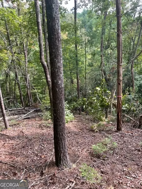 lot7 Alte Bruecke Strasse, Helen, GA 30545