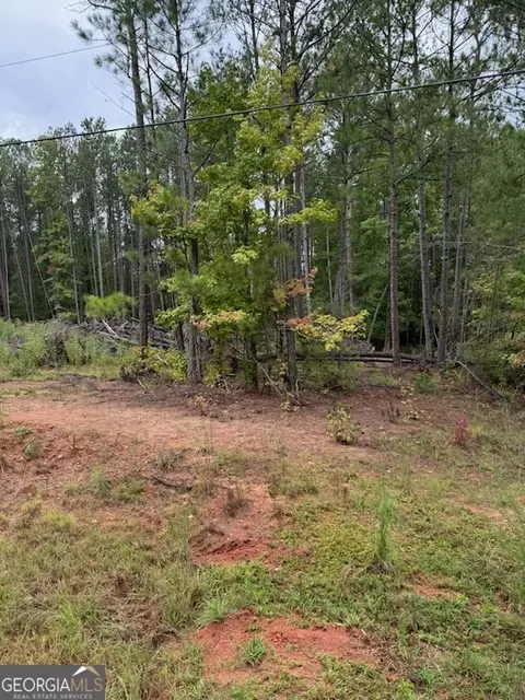 20 White Laurel Ln, Covington, GA 30014 photo 6