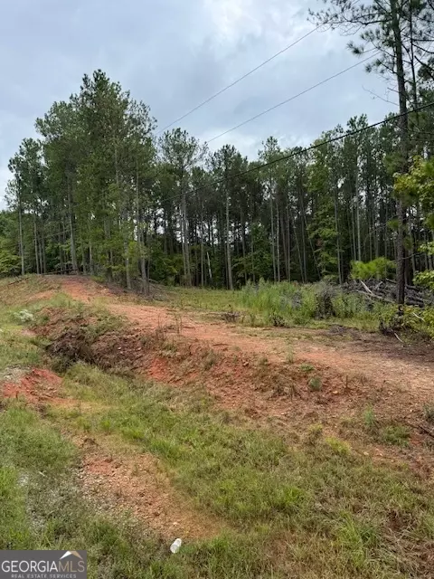 20 White Laurel Ln, Covington, GA 30014 photo 5