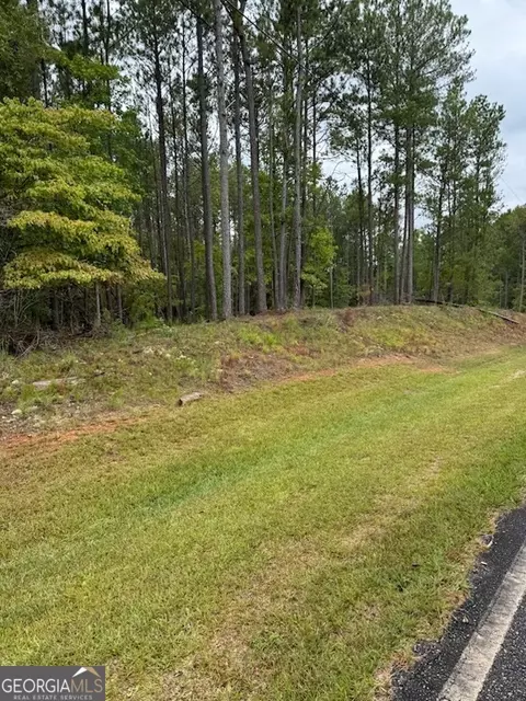 20 White Laurel Ln, Covington, GA 30014 photo 11