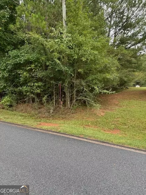 20 White Laurel Ln, Covington, GA 30014 photo 12