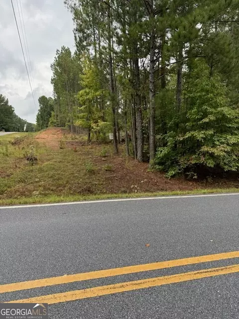 20 White Laurel Ln, Covington, GA 30014 photo 9