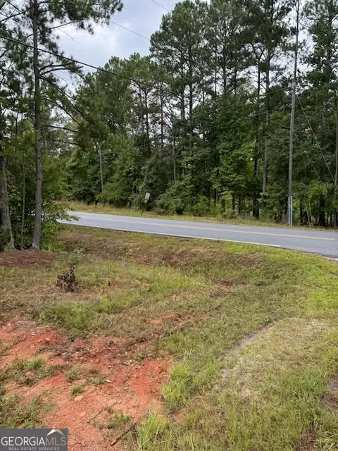 20 White Laurel Ln, Covington, GA 30014 photo 7