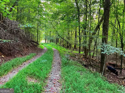 0 Legion Rd #241 ACRES, Ellijay, GA 30540