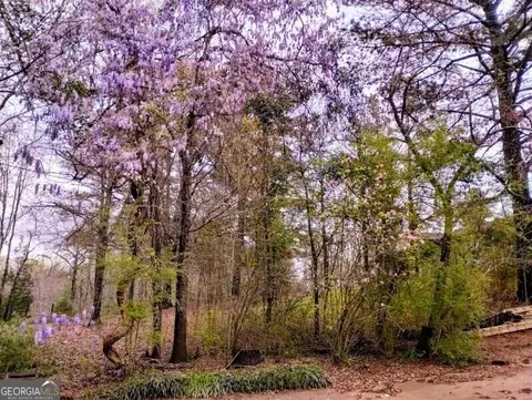 954 Baughs Cross Rd, West Point, GA 31833 photo 47