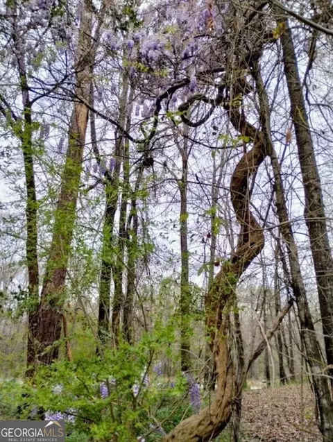 954 Baughs Cross Rd, West Point, GA 31833 photo 50