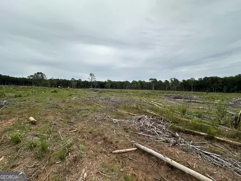 0 Long Cane Rd, Lagrange, GA 30240 photo 3